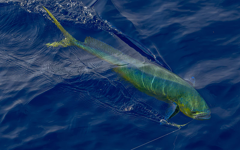 family fishing in Florida