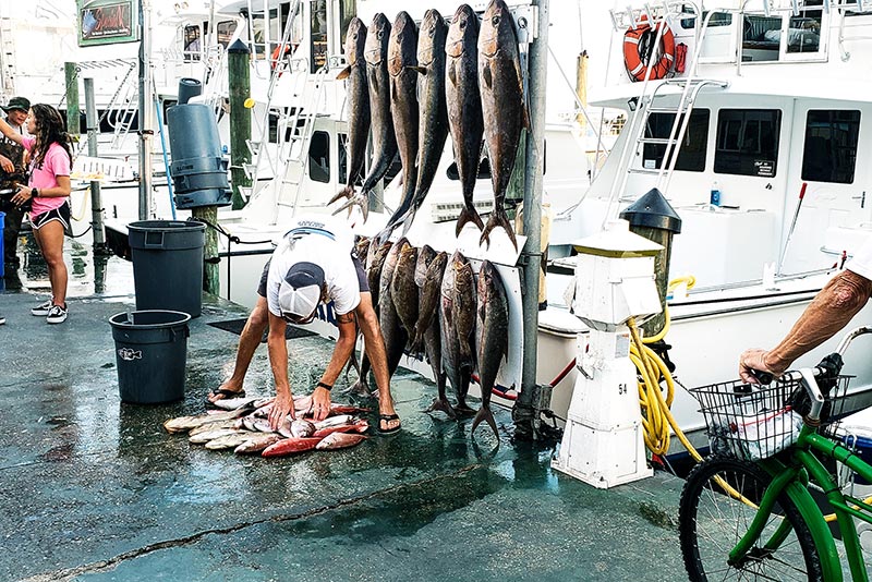 Couple relaxing on the beach after a day of fishing in Florida