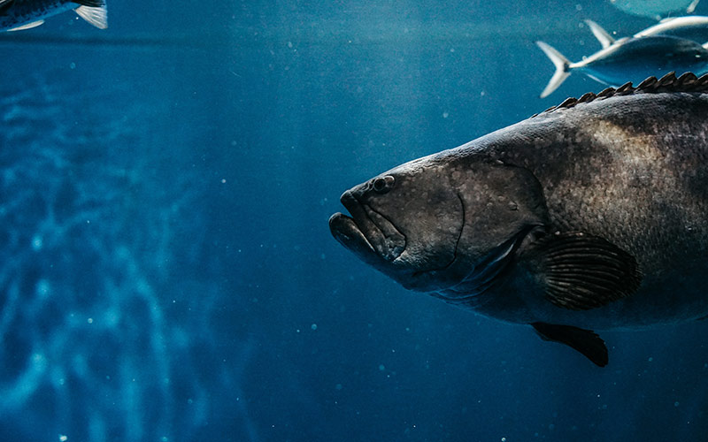 family fishing in Florida