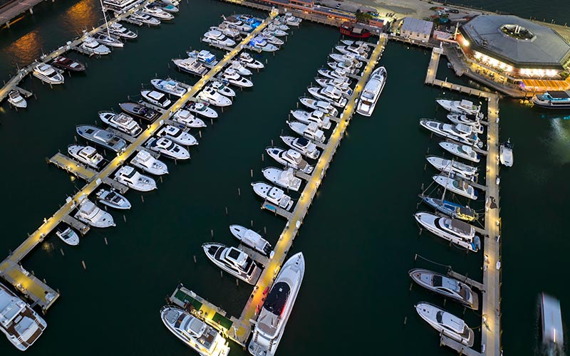 Fishing Marina in Miami Florida