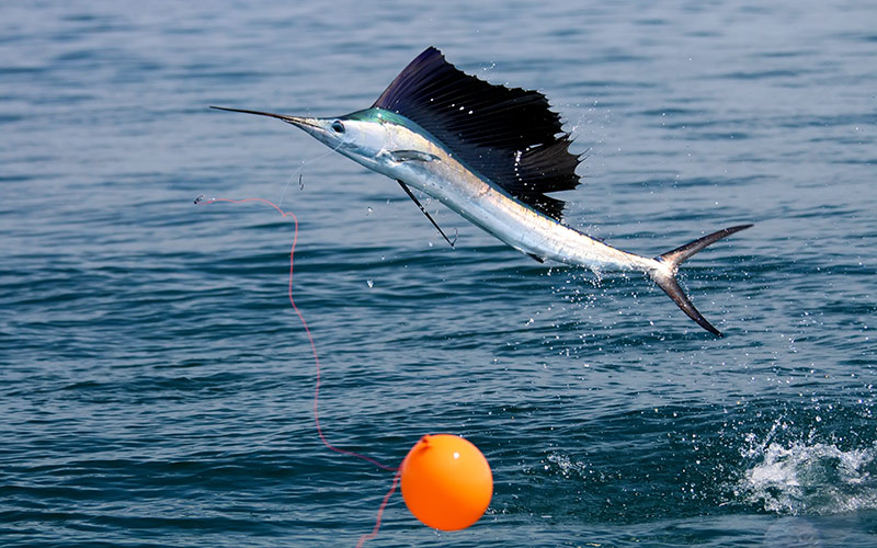 family fishing in Florida