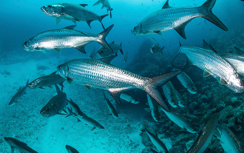family fishing in Florida